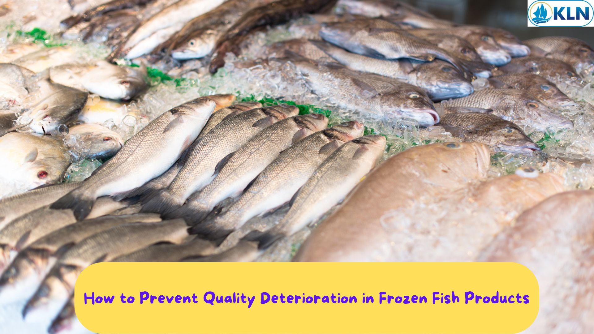 How to Prevent Quality Deterioration in Frozen Fish Products